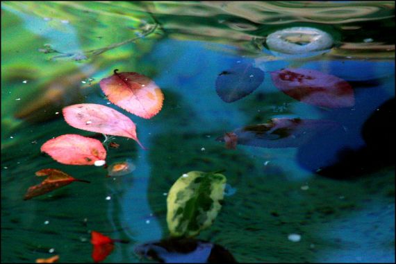 10 Fotografía de José Amador Martín