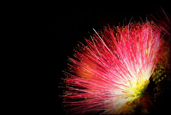 11 Fotografía de José Amador Martín