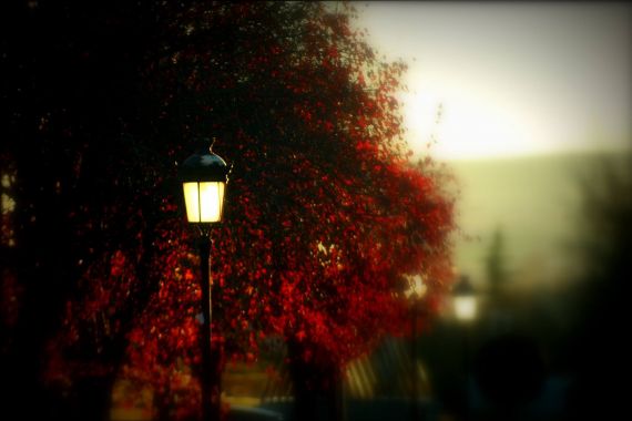 10 Foto de José Amador Martín