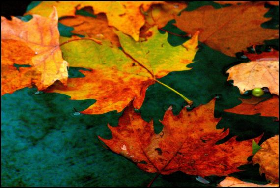 5 Foto de José Amador Martín