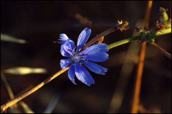 5 Fotografía de José Amador Martín