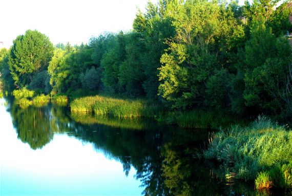 6 Foto de José Amador Martín
