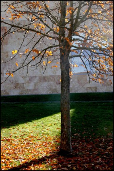 6 Foto de José Amador Martín