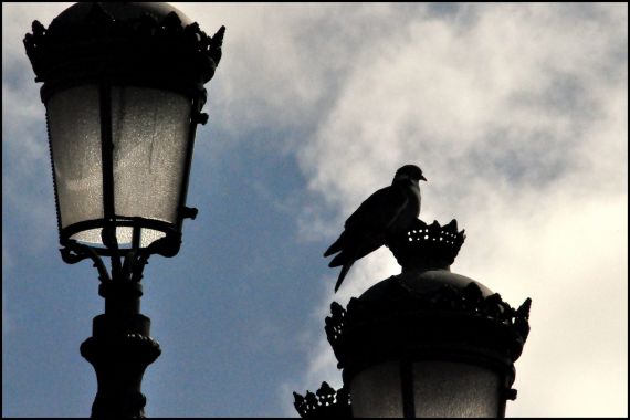 6 Foto de José Amador Martín