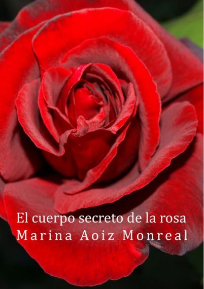 6 Libro dedicado a Gastón Baquero