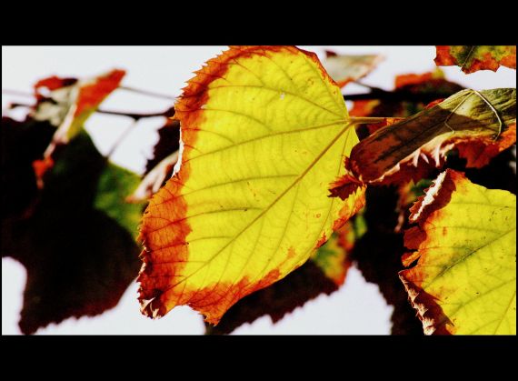 7 Foto de José Amador Martín