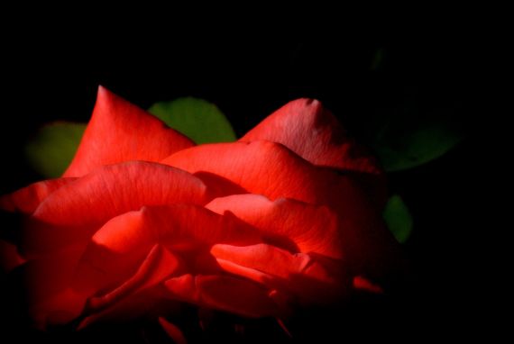 7 Fotografía de José Amador Martín