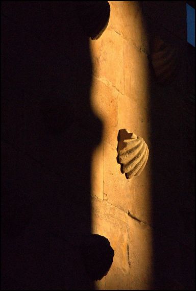 8 Foto de José Amador Martín