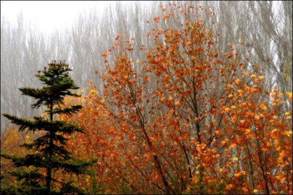 8 Foto de José Amador Martín