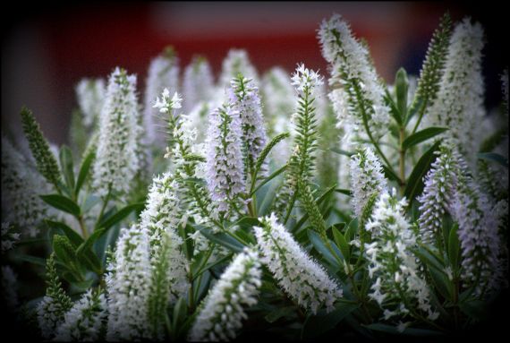 9 Foto de José Amador Martín