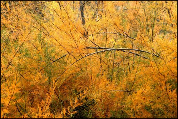 9 Foto de José Amador Martín