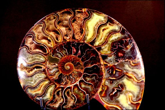 9 Fotografía de José Amador Martín