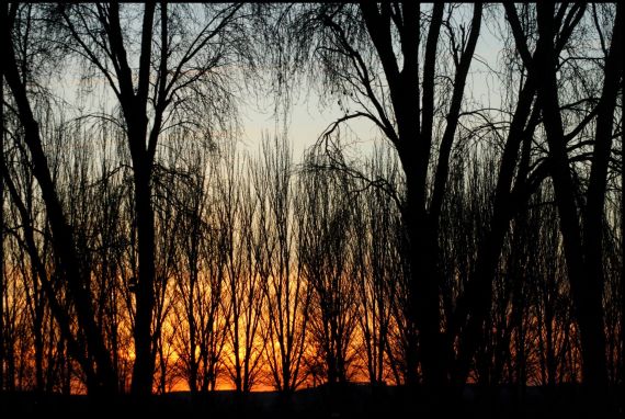 10 Foto de José Amador Martín