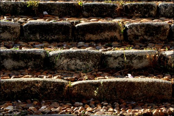 10 Foto de José Amador Martín