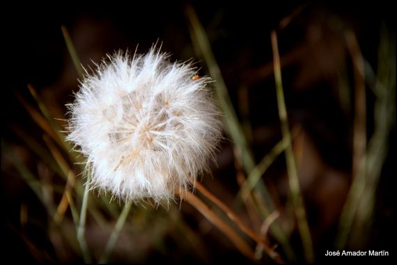 11 Foto de José Amador Martín