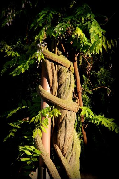 12 Foto de José Amador Martín