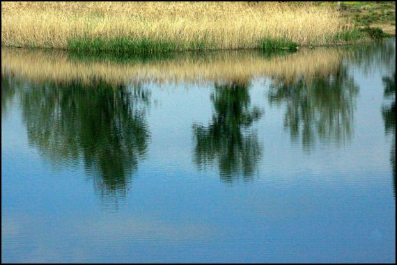 2 Foto de José Amador Martín