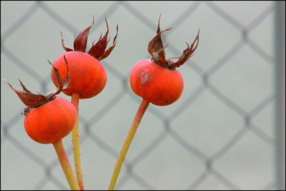 2 Foto de José Amador Martín