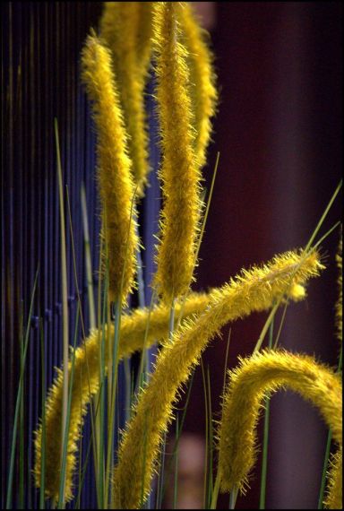 5 Foto de José Amador Martín