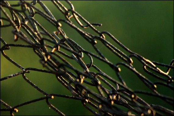 6 Foto de José Amador Martín