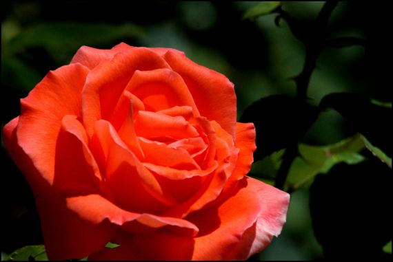 8 Foto de José Amador Martín