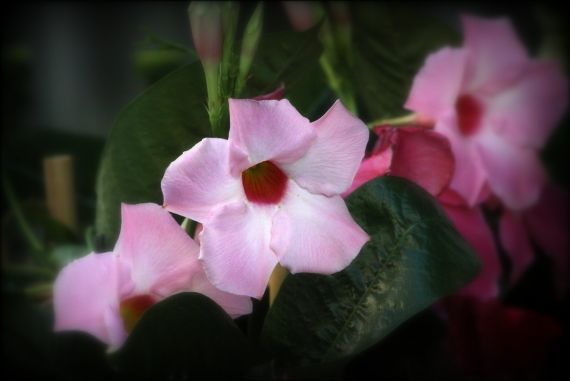 9 Foto de José Amador Martín